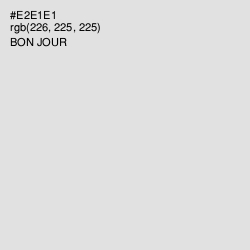 #E2E1E1 - Bon Jour Color Image